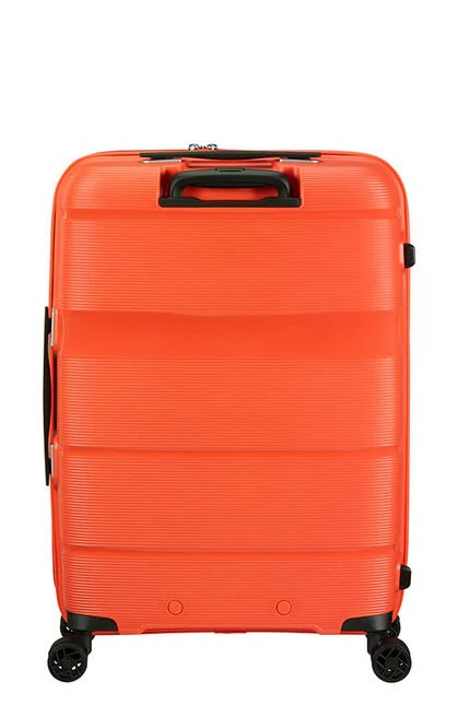 Linex de American Tourister  Spinner Talla Mediana - Image 24